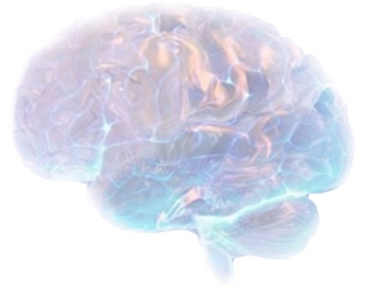 Brain Research
